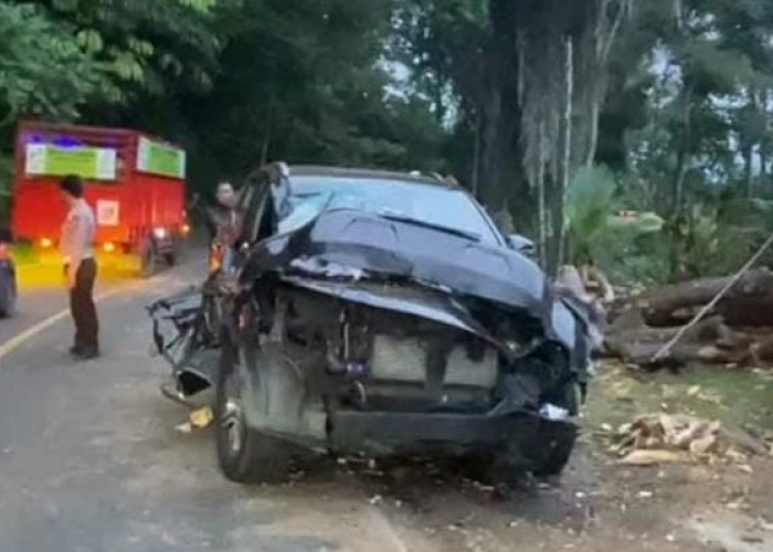 Mobil Warga Kota Bengkulu Tertimpa Pohon di Liku Sembilan, Ini Identitasnya