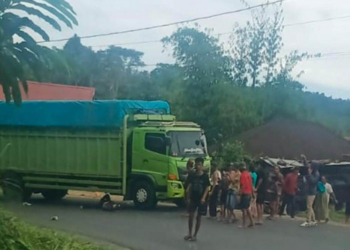 BREAKING NEWS: Pengendara Motor Terkapar di Bawah Truk Fuso di Kepahiang 