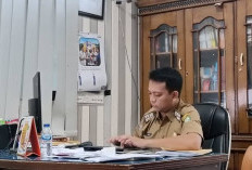 PAD Pajak Reklame di Kepahiang Belum Maksimal: BKD Kepahiang Ambil Langkah Ini