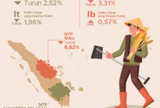 NTP Bengkulu Juni 2026 Turun, Subsektor Hortikultura Justru Tumbuh Tinggi