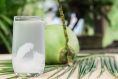 4 Manfaat Air Kelapa Hijau Bagi Kesehatan