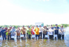 Mitigasi Perubahan Iklim, Pemprov Partisipasi Penanaman Mangrove Serentak KLHK