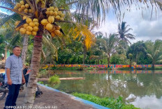 Terkendala Anggaran, Potensi Wisata Cikdam Desa Kandang Belum Dikelola Maksimal