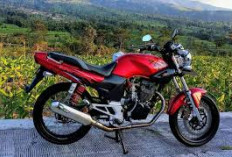Motor Ikonik, Yuk Nostalgia dengan Honda Tiger 2000