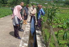 Kolaborasi Wujudkan Swasembada Pangan di Desa Tugu Rejo