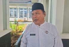 Perampingan OPD Pemkab Lebong Berproses, 26 OPD jadi 20 OPD