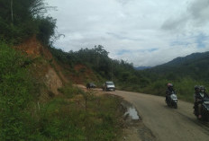 Tangani Jalan Longsor di Lebong, Pemprov Bengkulu Wacanakan Bangun Jembatan Elevated
