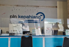 PLN Padamkan Listrik di 8 Kecamatan Kabupaten Kepahiang: Ini Penyebabnya!