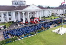 Gaji PPPK Paruh Waktu Ada yang Hanya Rp 1 Juta? Ini Fakta yang Perlu Diketahui