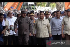 Prabowo Gencarkan Operasi Nasional Lawan Tambang Ilegal