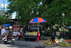 Dekati Malam Tahun Baru, Pedagang Jagung Musiman Menjamur di Kepahiang