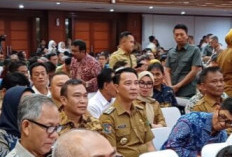 Bupati Fikri Dorong Potensi Perkebunan di Rejang Lebong