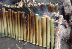 Gurih dan Harum, Ciri Khas lemang Pasma