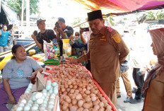 Disperindag Imbau Pedagang Tidak Naikkan Harga Komoditas Pangan