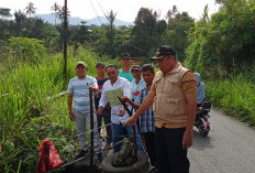 Camat Kepahiang dan Lurah Cek Jalan Berlobang, Akan Dibangun?