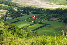 Penting! Cek 7 Hal Ini Sebelum Beli Tanah