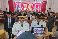 Menguntungkan Daerah: Segini Nilai Investasi Geotermal Dari Perusahaan Turki