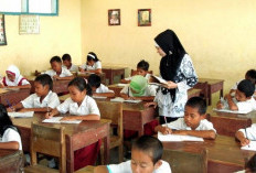 Jika Memang Dibutuhkan, Angkat saja Tenaga Kontrak Meski Pemerintah Pusat Melarang