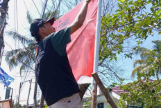 Masih Terpasang Saat Masa Tenang, Bawaslu Copot Ribuan APK di Kota Bengkulu