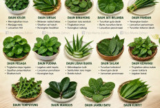 8 Ramuan Herbal Alami untuk Kesehatan, Meredakan Batuk hingga Mengurangi Pegal 