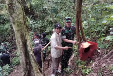 Pangdam II Sriwijaya Kunjungi Bunga Rafflesia Arnoldi Mekar di Liku Sembilan