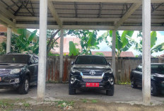 Mobnas Mantan Ketua DPRD Kepahiang Akan Dijual Langsung: Segini Harga yang Ditawarkan 
