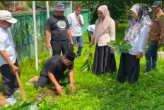 Gerakan Tanam Kopi di Kantor Camat Kepahiang: Majukan Komoditas Unggulan 
