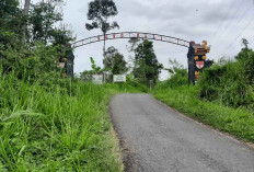 Perangkat Desa Suro Bali Terancam Tidak Gajian, Ini Penjelasan Dinas PMD
