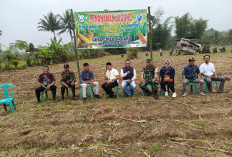 Dukung Ketahanan Pangan 2025: Desa Cirebon Baru Kabupaten Kepahiang Tanam Jagung