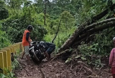 Hujan Lebat, Kabupaten Kepahiang Dikepung Puluhan Bencana Alam, Cek Titik Bencana Disini!