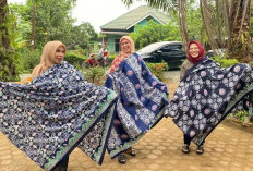 Batik Sungai Lemau Bengkulu Tengah Diverifikasi Indikasi Geografis 
