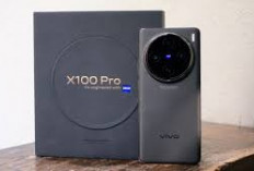 Harga Vivo X100 Terjun Bebas, Berikut Spesifikasi dan Harga Terbaru 2025 