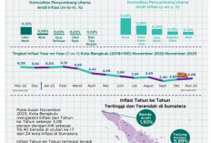 Inflasi Tahunan Kota Bengkulu Capai 3,08 Persen