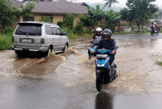 Jalan Kompleks Perkantoran Kabupaten Keahiang Banjir: Diterjang Hujan Lebat