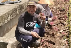 Kelurahan Pasar Ujung Galakkan Tradisi Gotong Royong Bersihkan Makam