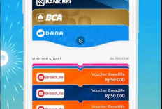 Bisa 10 Kali Gratis Tarik Saldo, Ini 4 Keuntungan Pakai Aplikasi DANA