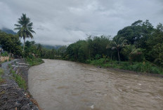 2 Sungai di Lebong Tercemar, Penyebabnya Berbeda