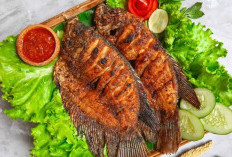 Manfaat Ikan Mujair Bagi Kesehatan