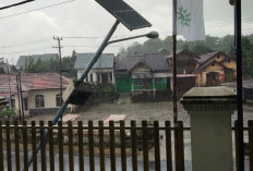 PJU di Desa Pungguk Meranti Ujan Mas Kepahiang Tak Berfungsi & Membahayakan