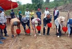 Dukung Program Asta Cita Presiden Prabowo, Desa Karang Endah Kepahiang Tanam Jagung 