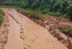 Kondisi Jalan Seperti 'Kubangan Kerbau', Desa Tanjung Raman Bengkulu Tengah Sulit Terjangkau