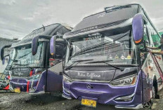 Organda Bengkulu Tetapkan Tarif Angkutan Mudik Lebaran 2025, Ini Rinciannya