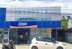 Tanpa Jaminan, Ini Syarat Cairkan Dana KUR BRI