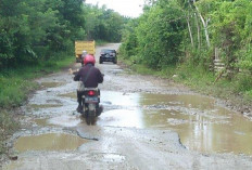 Ratusan Miliar untuk 4 Proyek Pembangunan Jalan di Bengkulu Tengah 