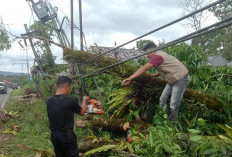 Dari 7 Bencana Alam Terjadi di Kepahiang, Bencana Ini yang Terparah!