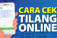 Cara Mengecek Status Tilang secara Elektronik