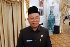 Penetapan NIP PPPK Pemprov Tahun 2023 Hampir Rampung