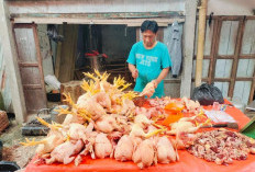 Harga Daging Ayam Potong di Pasar Kepahiang Alami Kenaikan, Segini Harganya!