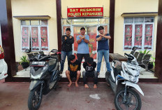 2 Pelaku Curanmor Asal 4 Lawang Ditangkap Polres Kepahiang: Saat Bawa Pulang Motor Hasil Curian dari Bengkulu