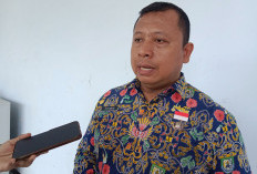 Lelang Fisik Tuntas di Bulan Mei, Ini Fokus Pengerjaan Jalan di Bengkulu